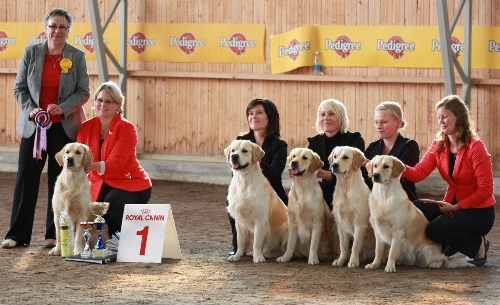 ROP-j�lkel�isluokka