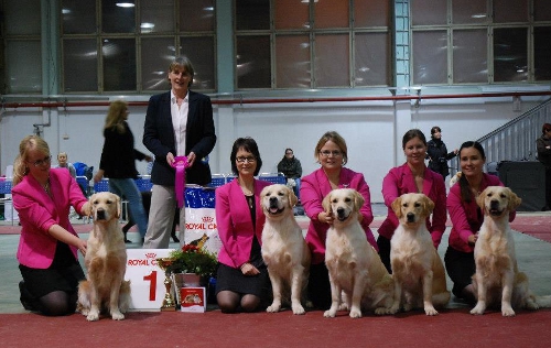 BIS1-j�lkel�isluokka